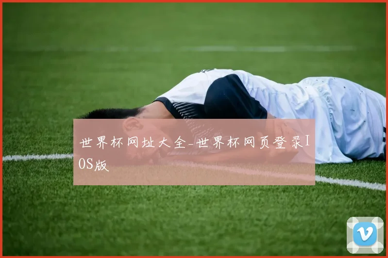 世界杯网址大全_世界杯网页登录IOS版