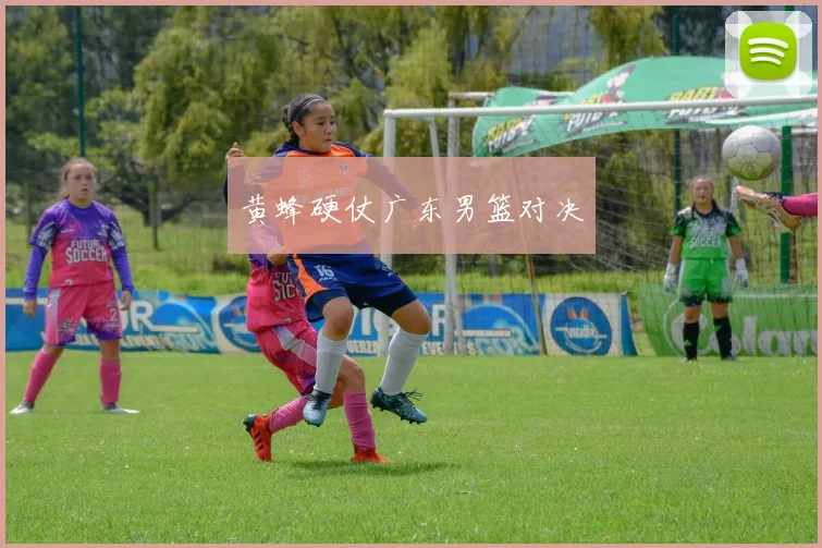 黄蜂硬仗广东男篮对决