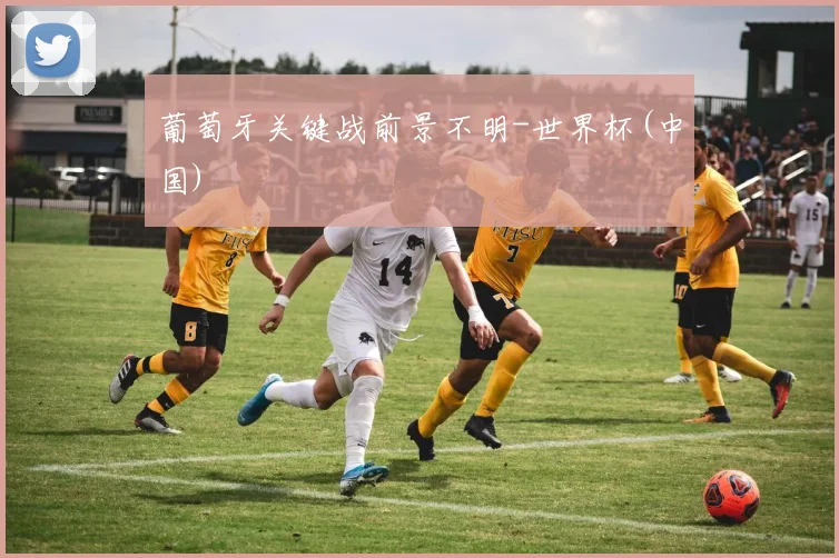 葡萄牙关键战前景不明-世界杯(中国)
