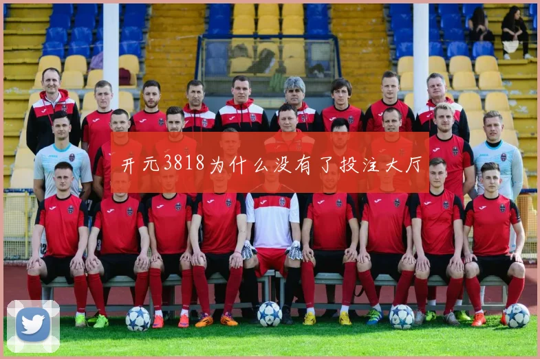 开元3818为什么没有了投注大厅