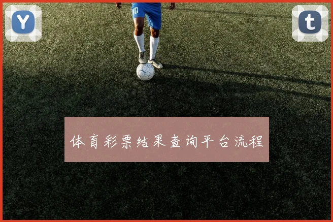 体育彩票结果查询平台流程