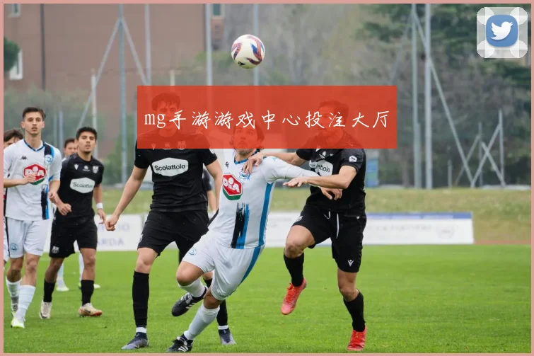 mg手游游戏中心投注大厅
