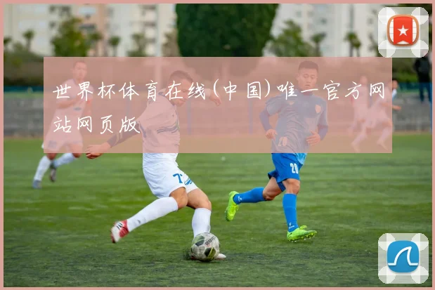 世界杯体育在线(中国)唯一官方网站网页版