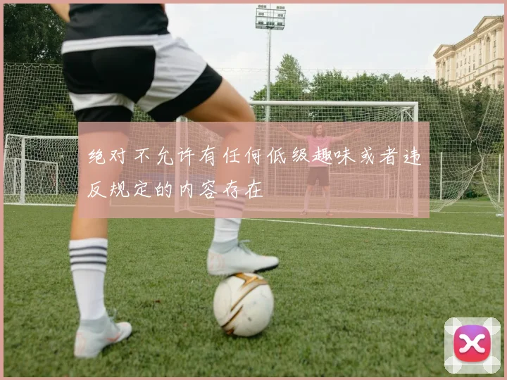 绝对不允许有任何低级趣味或者违反规定的内容存在
