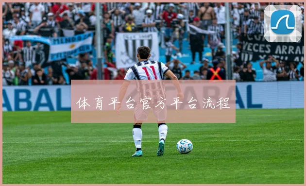 体育平台官方平台流程