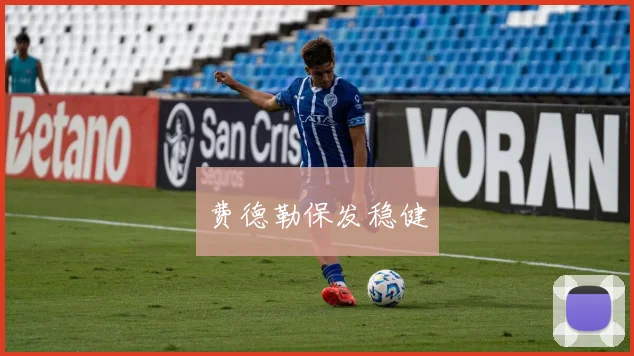费德勒保发稳健