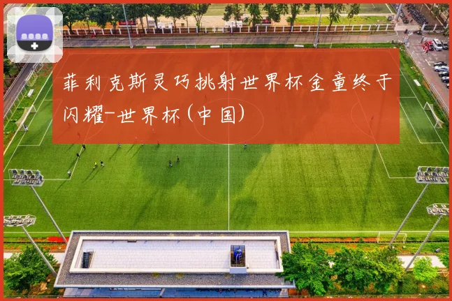 菲利克斯灵巧挑射世界杯金童终于闪耀-世界杯(中国)