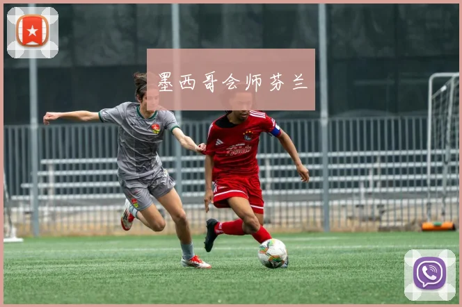 墨西哥会师芬兰