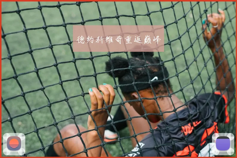 德约科维奇重返巅峰