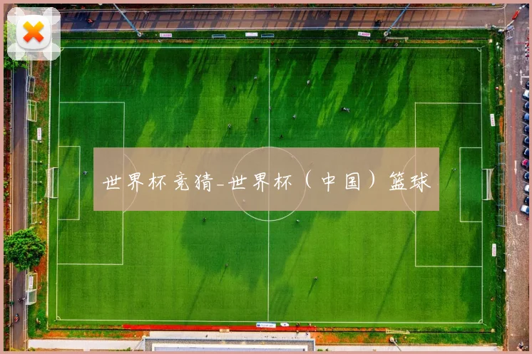 世界杯竞猜_世界杯（中国）篮球
