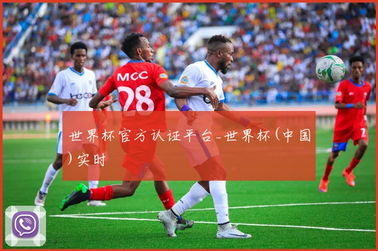 世界杯官方认证平台_世界杯(中国)实时