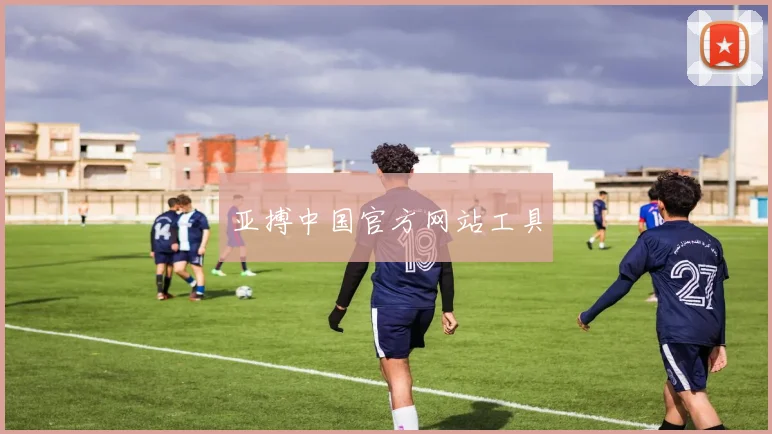 亚搏中国官方网站工具