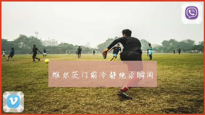 维尔茨门前冷静绝杀瞬间