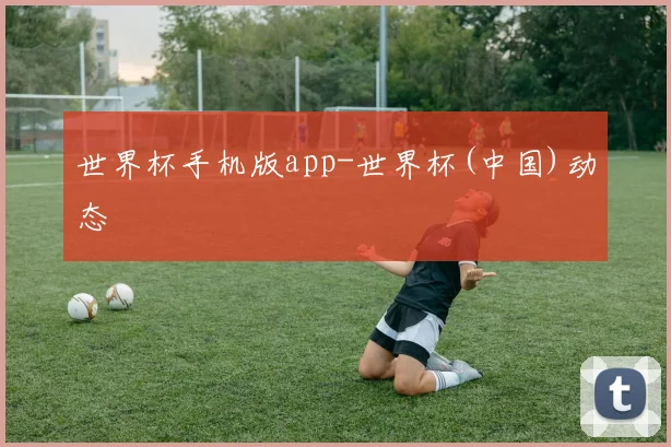 世界杯手机版app-世界杯(中国)动态