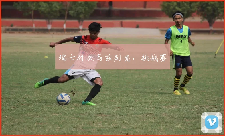 瑞士对决乌兹别克,挑战赛
