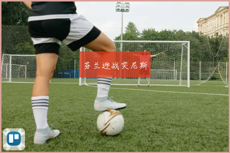 芬兰迎战突尼斯