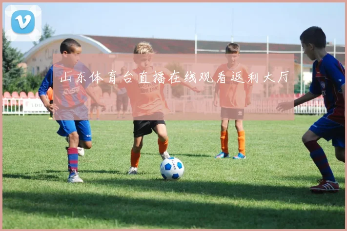 山东体育台直播在线观看返利大厅