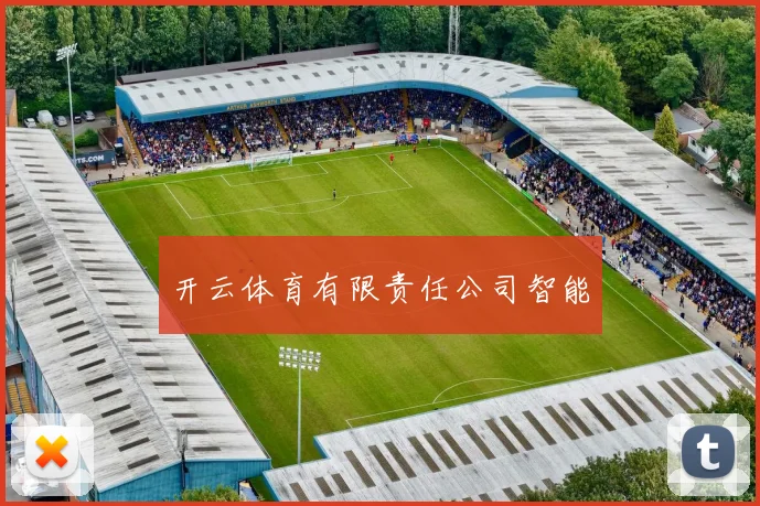 开云体育有限责任公司智能