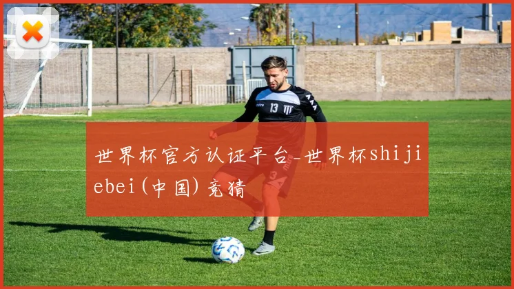世界杯官方认证平台_世界杯shijiebei(中国)竞猜