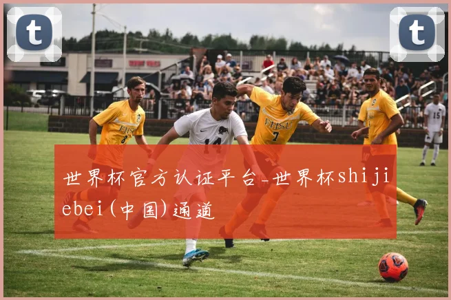 世界杯官方认证平台_世界杯shijiebei(中国)通道