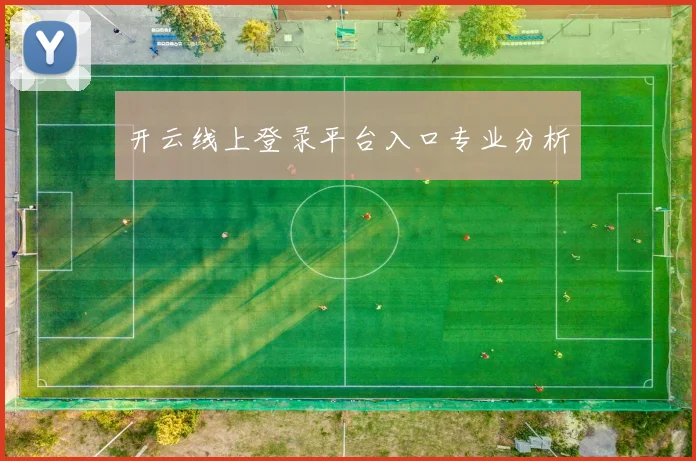 开云线上登录平台入口专业分析