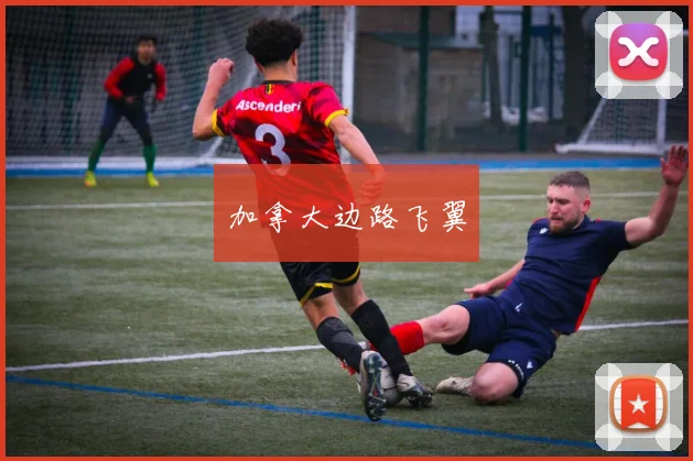 加拿大边路飞翼