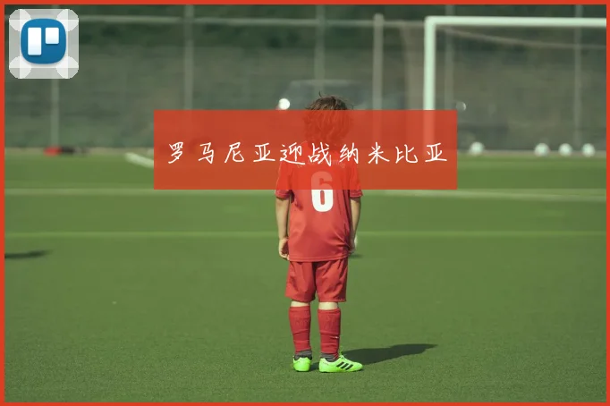 罗马尼亚迎战纳米比亚
