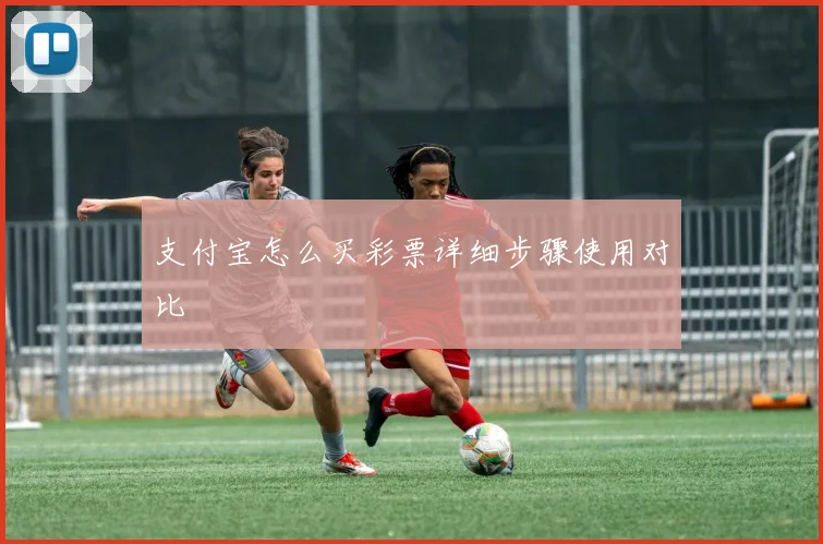 支付宝怎么买彩票详细步骤使用对比