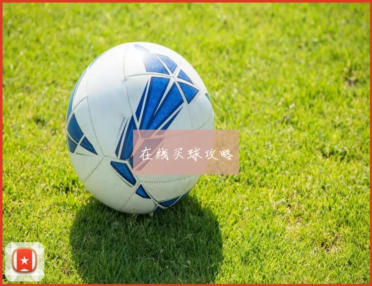 在线买球攻略
