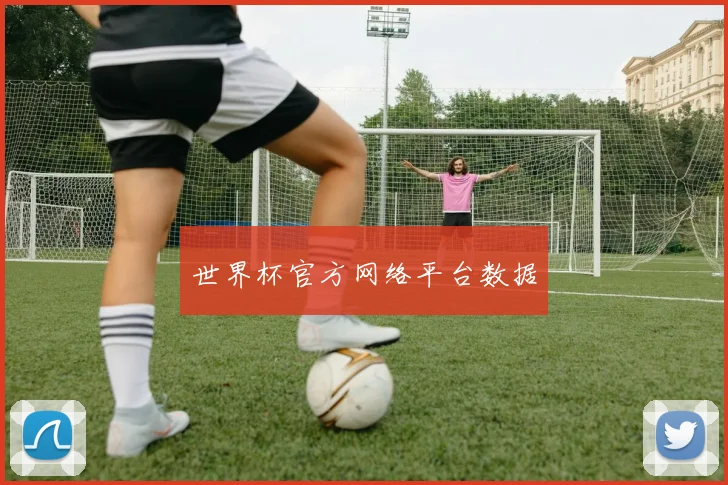 世界杯官方网络平台数据