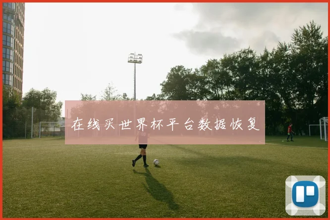 在线买世界杯平台数据恢复