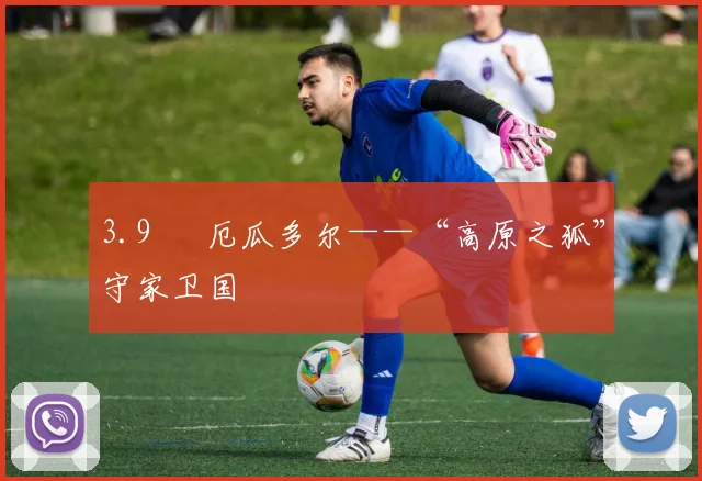 3.9 ◉ 厄瓜多尔——“高原之狐”守家卫国