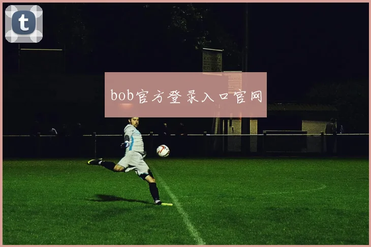 bob官方登录入口官网