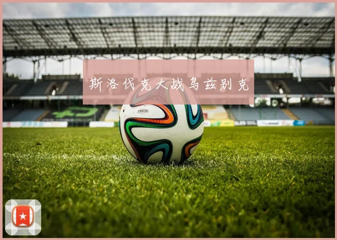 斯洛伐克大战乌兹别克