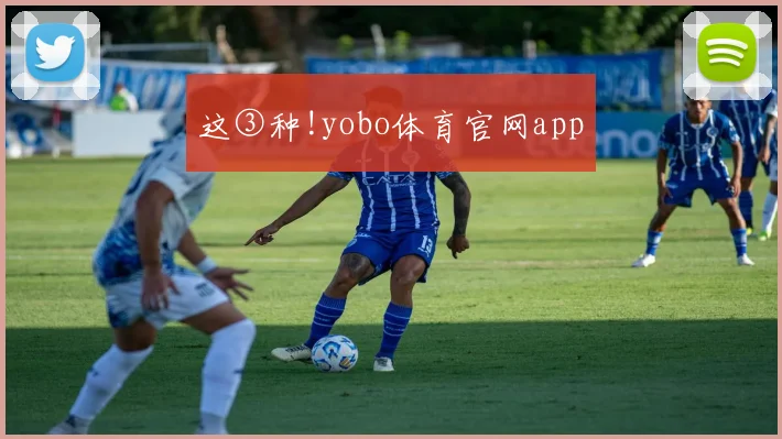 这③种!yobo体育官网app