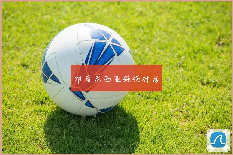 印度尼西亚强强对话