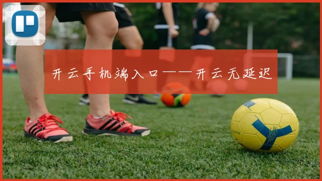 开云手机端入口——开云无延迟