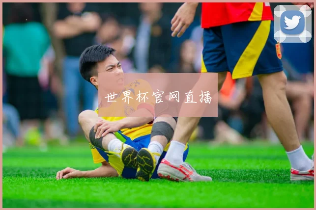世界杯官网直播