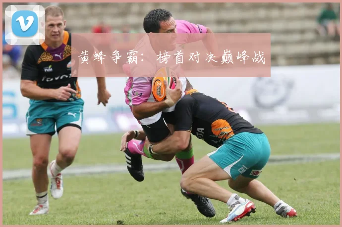 黄蜂争霸：榜首对决巅峰战