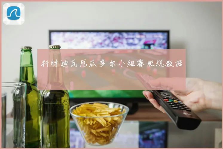 科特迪瓦厄瓜多尔小组赛犯规数据