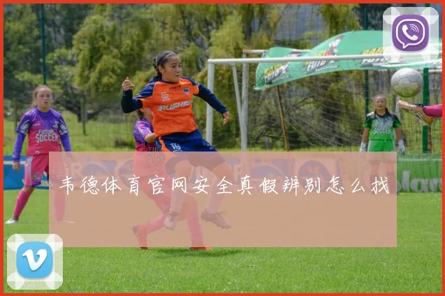 韦德体育官网安全真假辨别怎么找