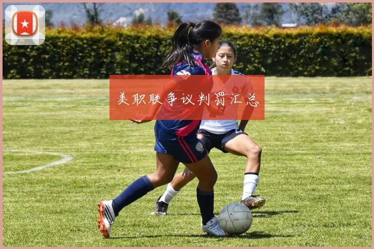 美职联争议判罚汇总