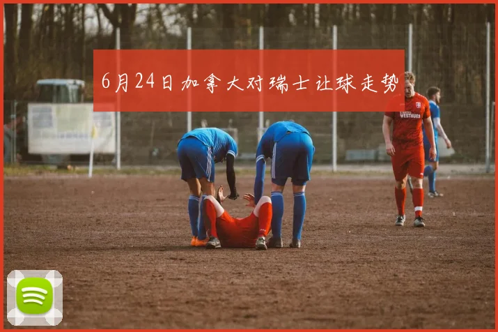 6月24日加拿大对瑞士让球走势