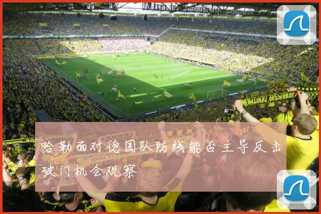 哈勒面对德国队防线能否主导反击破门机会观察