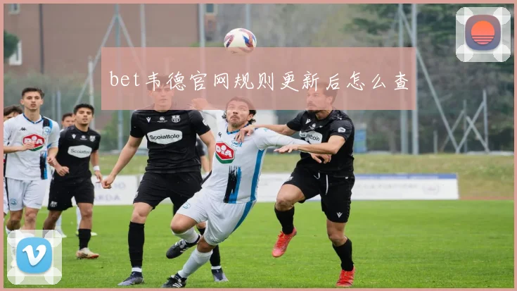 bet韦德官网规则更新后怎么查